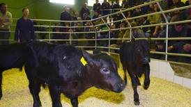 Marts take beef factory complaints to Brussels