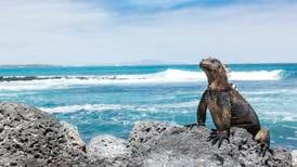 Tip2Top on the Galápagos Islands: It’s animals galore and they are utterly unfazed by people