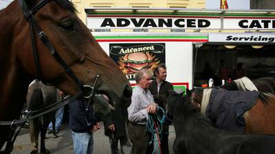 Gardaí urge people not to attend cancelled Cahirmee horse fair