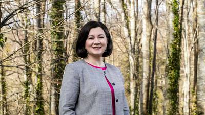 Coillte profits halve to €61m as timber prices fall