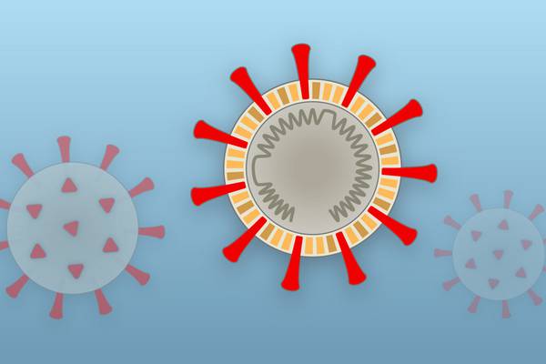 Increase in pneumonia deaths in 2020 linked to Covid-19