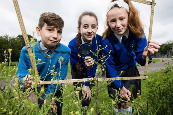 Biodiversity day: Handbook for students to explore biodiversity in local parks
