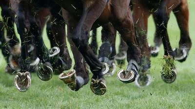 Horse at centre of Cheltenham Festival doping inquiry a possible Perth runner