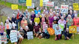 Opponents of Kilkenny bridge stage ‘Phil Hogan protest’