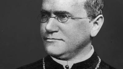 How Gregor Mendel discovered the existence of genes
