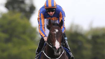 Aidan O’Brien aiming to be leading trainer at Royal Ascot for a fifth time