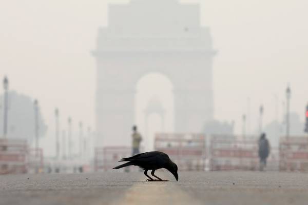 Hazardous air pollution turns New Delhi into a ‘gas chamber’