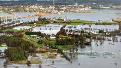 Shannon floods: ‘There was raw sewage floating in our house’