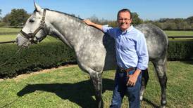 Wild Geese: a love of horses took a Galway student to Kentucky