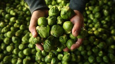 Spinach, Brussels sprouts and kale can help reduce dementia risk