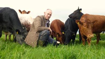 Farms sowing new business seeds