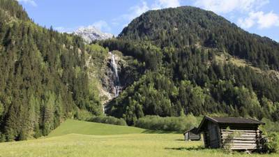 Austrian cows trample German hiker to death