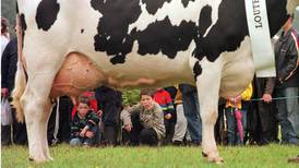 Dairy farmers warned against ‘shiny salesmen’ and sleek new equipment as they plan  expansion