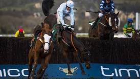 Irish trainers prepare for more animal welfare steps at Cheltenham Festival