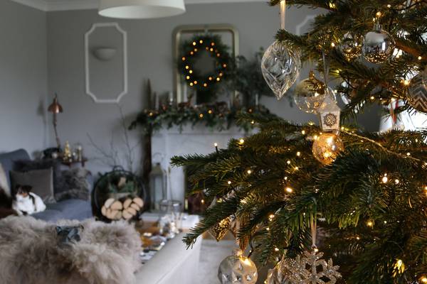 A guide to choosing the best Christmas tree for your home