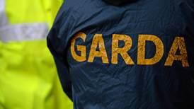 Gardaí seek witnesses to assault of man in west Dublin park
