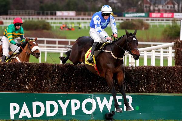 Horse Racing Ireland confirm Kemboy free to race again