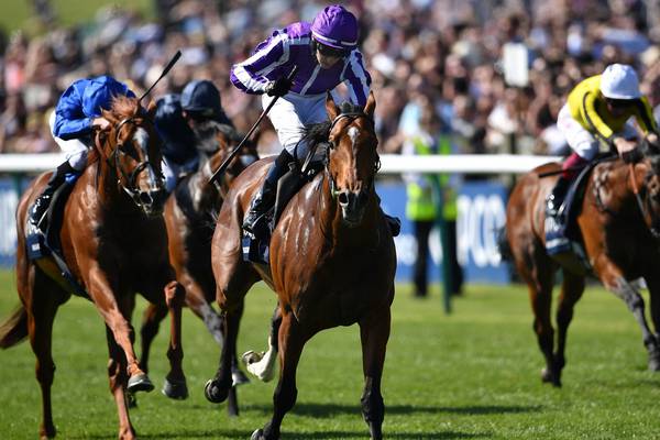 O’Brien looking for more Epsom Derby back-up to Saxon Warrior