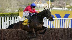 Allaho enjoys smooth success in Cheltenham Ryanair warm-up at Thurles