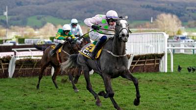 Lossiemouth expected to put Grade One seal on record-breaking season for Willie Mullins 