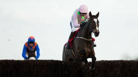 Vautour made to work hard by Ptit Zig at Ascot