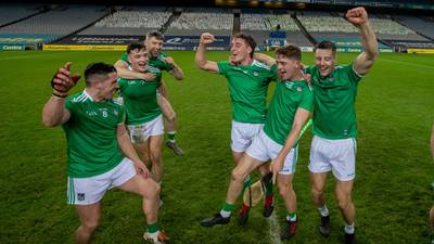 Generational Limerick hurlers out to create a dynasty