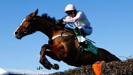 Luck runs out for Faugheen as Yorkhill enters Champion Hurdle calculations