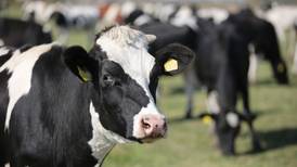IFA hits out at Glanbia over latest milk price cut