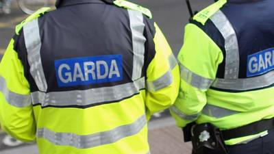 Two gardaí hospitalised after two patrol cars rammed in Co Wexford on Sunday