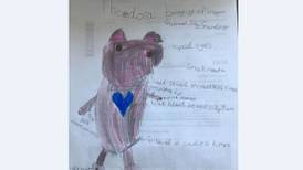 Girl (9) seeking ‘utterly irreplaceable’ pig teddy lost at Dublin Airport
