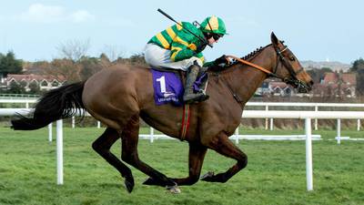 Carlingford Lough has all eyes on Irish Gold Cup