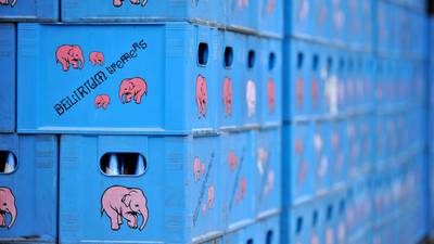 A birthday beer for the famous pink elephant