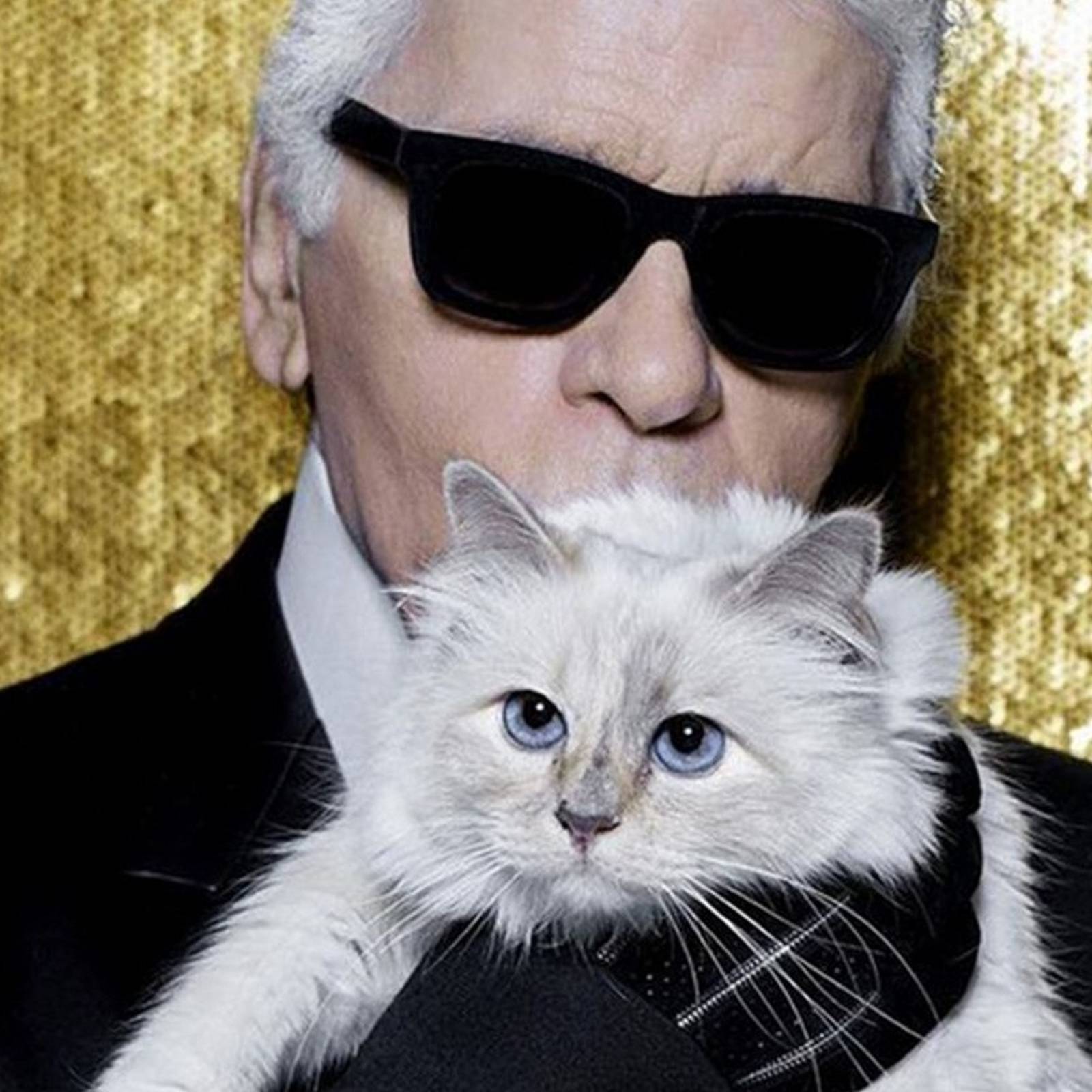 Whatever happened to Choupette, Karl Lagerfeld's pampered cat? – The Irish  Times