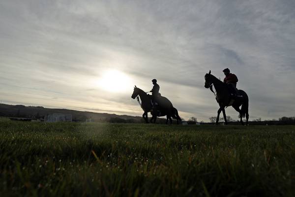 Only jockeys, trainers and staff to attend Cheltenham Festival