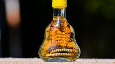 Beware the snake-oil merchants of alternative medicine - your life could depend on it