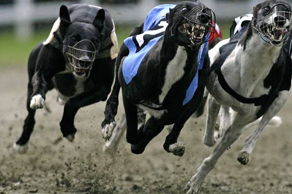 Man banned from Australian greyhound industry ‘works in State’