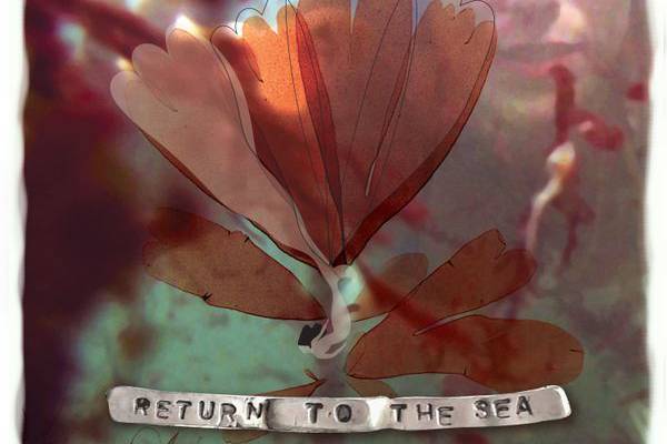 Áine Tyrrell: Return to the Sea review – A psych-folk force