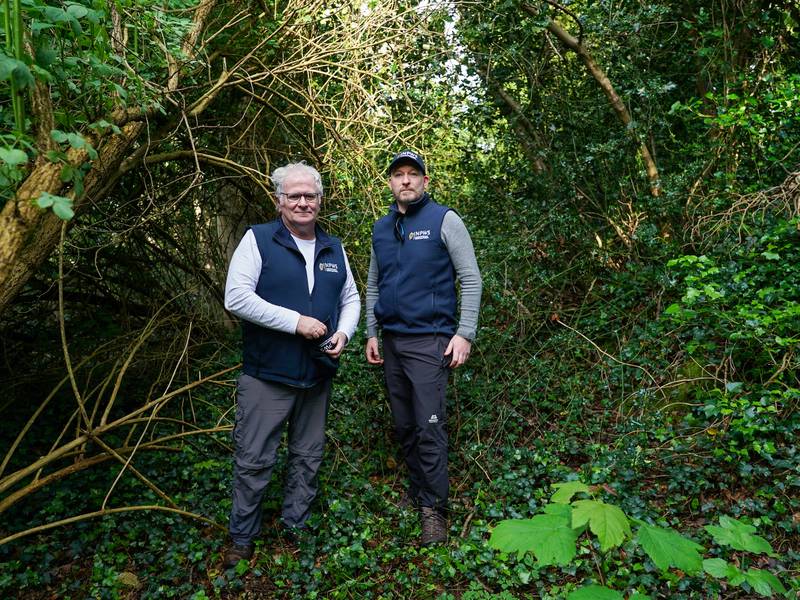 Like ‘something from a snuff film’: touring wildlife crime scenes around Dublin with a parks ranger