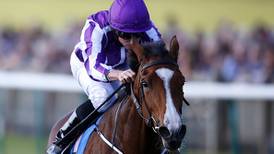Minding heads 16-strong field for 1000 Guineas