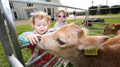 Coveney reopens Airfield  urban farm  after €11m revamp