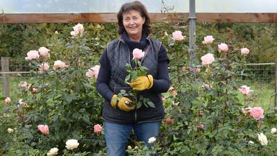 From bust to blooms and a vie en rose in north county Dublin