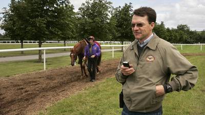 Companies owned by racehorse trainer Aidan O’Brien romp home