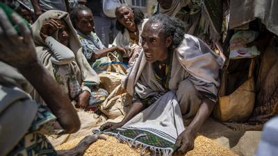 Tigray: almost one in three children under five malnourished, UN says