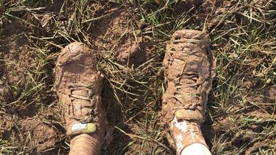 Soft Day in South Galway – An Irishman’s Diary about cross-country running and mud