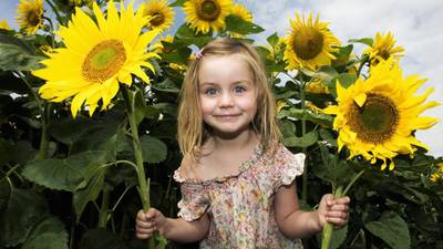 Want to get children gardening? Here’s how