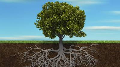Irish Roots: which sites provide free family-tree services?