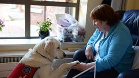 Hospice care: The best man for the job is a dog