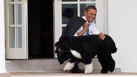 ‘A loyal companion’: Obama’s White House dog Bo dies