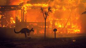 Irish in Australia: Share your experience of the bushfires