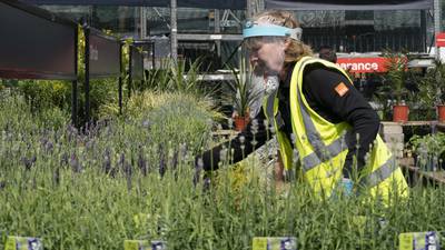 B&Q parent boosted by ‘grow your own’ plant sales